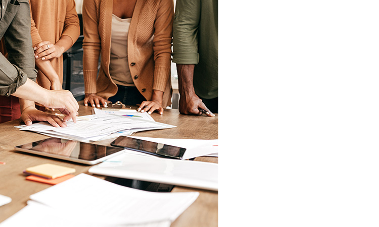 Educational Flyers image